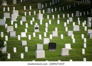 Gravestones in a military cemetery in Arlington USA
