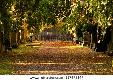 Graveyard alley in sunny day