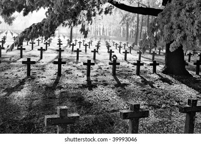 graveyard with rows of crosses and trees during first winter frost monochrome film grain