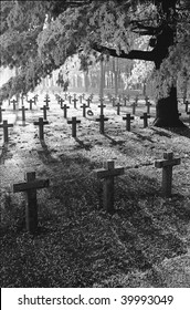 graveyard with rows of crosses and trees during first winter frost monochrome film grain