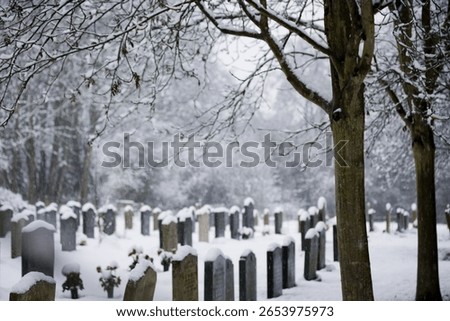 A graveyard in the snow