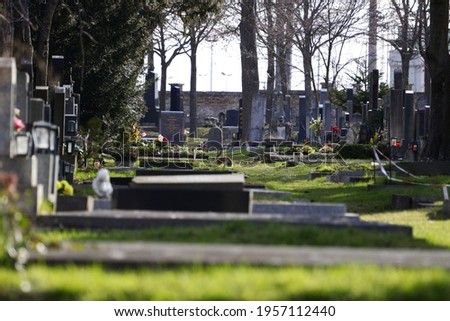 At a graveyard in Vienna, Austria