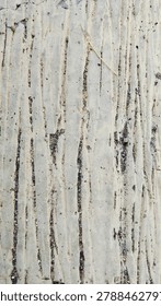 gray background texture of graffiti and moss