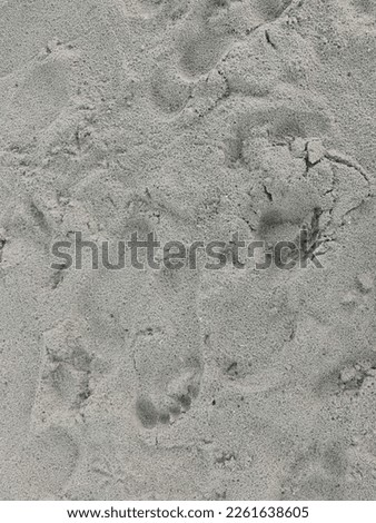 gray beach sand with human footprints for background