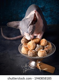 A Gray Bicolor Canadian Sphynx Cat Eating Human Food With Closed Eyes, A Pyramid Of Small Healthy Coconut Bites Doughnuts On A Dark Background, Copy Space. Selective Focus. Party Birthday Concept.