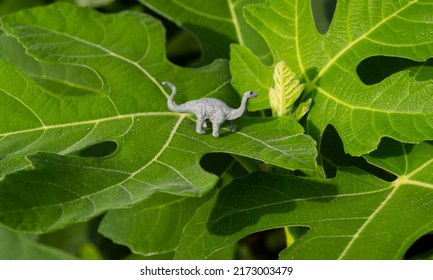 Gray Brontosaurus Toy On A Fig Leaf