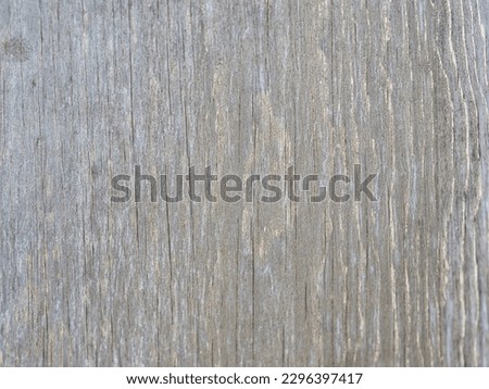 Gray and Brown Plywood with Worn White Paint Background Texture - Add your own text