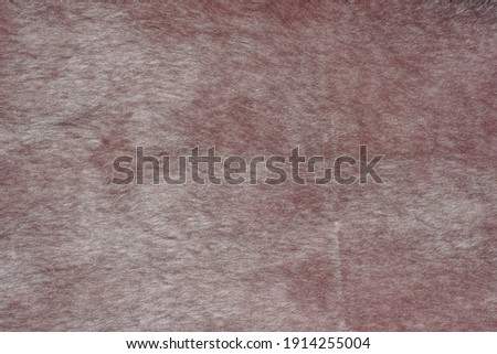 gray brown texture of fur wool on clothes