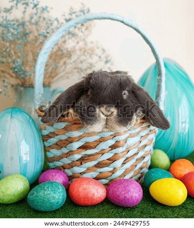 A gray bunny is nestled in a basket brimming with vibrant Easter eggs. It peers out from the basket with a look of curiosity on its face. The backdrop features a blurred mixture of green grass.