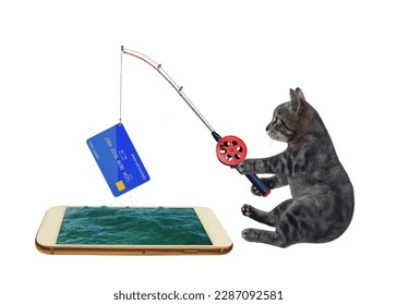 A gray cat caught a credit card from a mobile phone using a fishing rod. White background. Isolated.