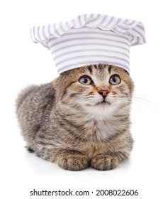 gray-cat-chefs-hat-isolated-260nw-2008022606.jpg