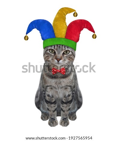 A gray cat clown in a jester hat is sitting. April fool's day. White background. Isolated.