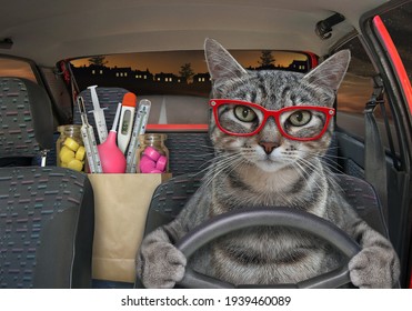 628 Night driving glasses Images, Stock Photos & Vectors | Shutterstock