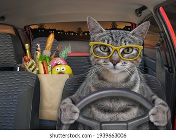 A Gray Cat In Glasses Is Driving A Car On The Highway At Night. A Paper Bag With Food Is Next To Him.