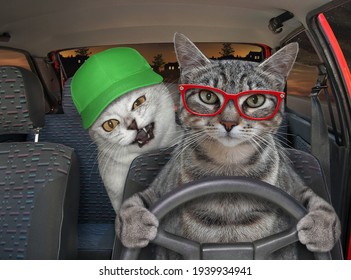 628 Night driving glasses Images, Stock Photos & Vectors | Shutterstock