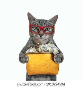 A gray cat in glasses holds an orange leather wallet with dollars. White background. Isolated.
