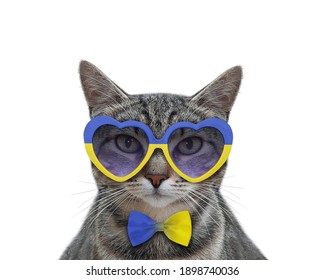 A gray cat patriot wears ukrainian flag heart shaped sunglasses. White background. Isolated.