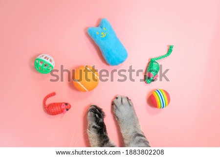 Gray cat paws and accessories for pets: ball, mice, comb. Yellow background, copy space, top view. Pet supplies concept.	