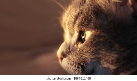 Focous Images, Stock Photos u0026 Vectors  Shutterstock