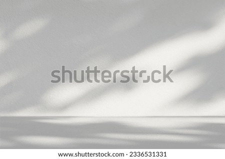 Gray cement wall texture background in empty room with light and shadow for product presentation