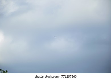 Gray cloudy sky