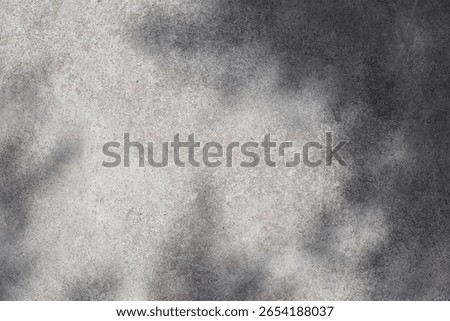 Gray concrete wall empty copy space background with sunlight and leaves shadows. Minimalistic luxury template wall surface concrete gray texture table top view copy space mock up background