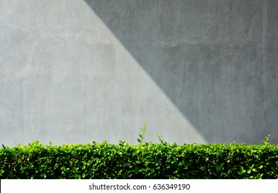 Gray concrete wall with shadow from building - background - Shutterstock ID 636349190
