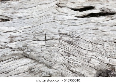 Gray Driftwood Closeup Background