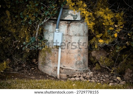 A gray electrical conduit and junction box are attached to a rough, aged concrete structure in a natural outdoor setting with dense vegetation