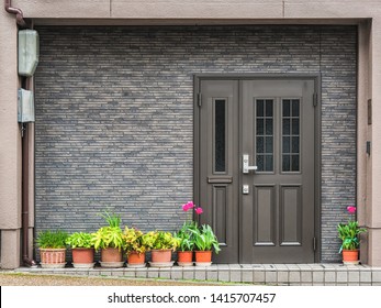 Gray front door with small square decorative windows and flower pots in fron of it