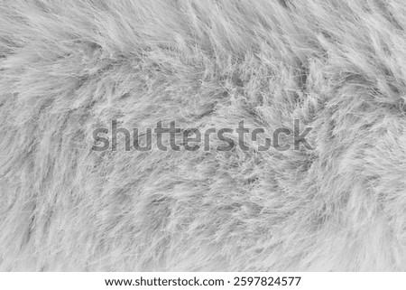 gray fur background close up.