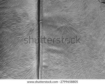 Gray Fur fluffy background texture abstract 