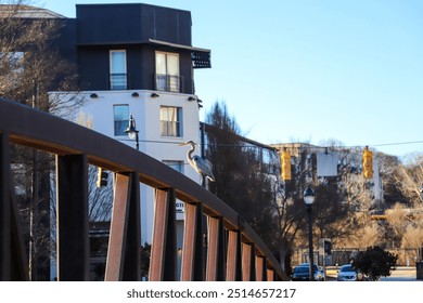 a gray great white heron bird standing on top of a rust colored iron bridge over a lake surrounded by black and gray apartment buildings and bare winter trees with blue sky in at The Commons park - Powered by Shutterstock