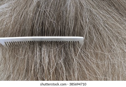 gray hair with comb