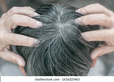 Grey Hair Man Images Stock Photos Vectors Shutterstock