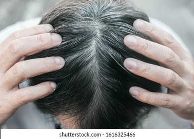 Gray Hair Problems In Older Men, Old Asian Senior Man With Gray Hair, White Hair Or Hair Loss Problem