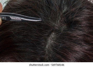 Gray Hair And Tweezers