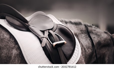 The gray horse is wearing a black leather saddle, a white saddlecloth, a metal stirrup and a bridle. Equestrian sports and ammunition. Horse riding.