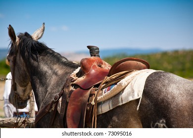 Gray Horse With Western Working Saddle Tied To Fence At Roundup, Cibola County, New Mexico, USA.