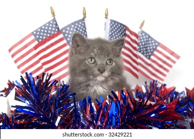 A gray kitten with Fourth of July decorations and American flags in background on white.