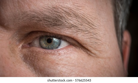 gray male eyes macro