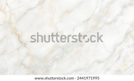 Gray marble exudes a timeless elegance with its understated yet sophisticated appearance. Its color palette ranges from soft, light grays to deeper, charcoal tones, often with subtle variations and ve