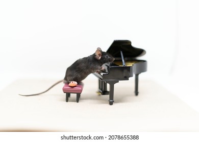 A gray mouse next to the piano. Doll furniture