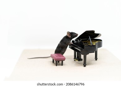 A gray mouse stands next to the piano. Doll furniture. Copy space