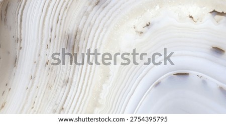 Gray onyx marble texture background with brown curly veins, can be use interior home decoration ceramic tile surface.