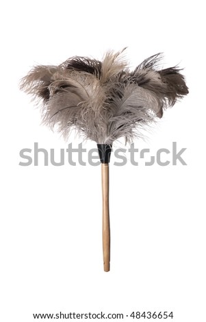 Gray ostrich feather duster with wooden handle on white background