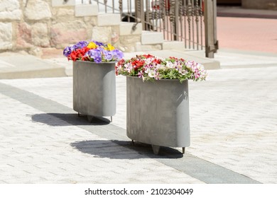 Gray painted iron planter with petunias next to another above ground planter on the street on a sunny summer day. petunia × atkinsiana surfinia.