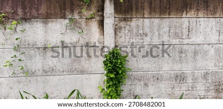 gray painted wall background with gray paint texture pattern