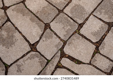 Gray paving stone texture with irregular polygon shape and visible joints. Outdoor sidewalk surface background.