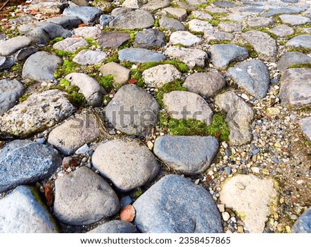 Gray paving stones. Graystone road surface, cobbled road, cobble background. Texture old stone pavement in city. Small plants grows in some places between the cobblestones. Texture background